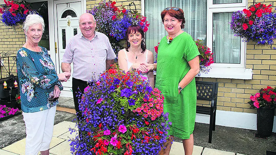 Window boxes and hanging baskets impress judge Image