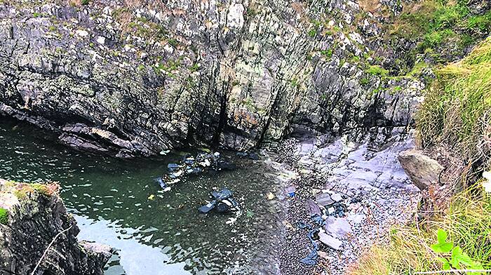 Bags of oil, fat left at Beara cove Image