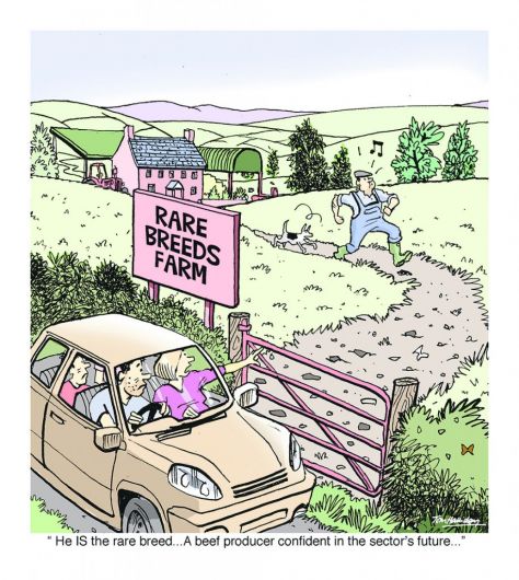 Tom Halliday's take on the future of the Irish beef industry Image