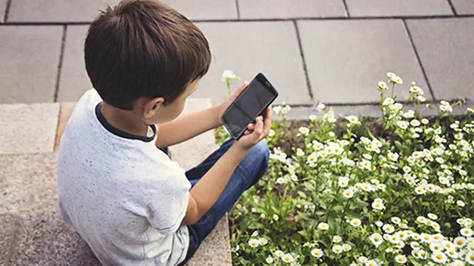 Smart Phones should be banned in all primary schools says TD Image