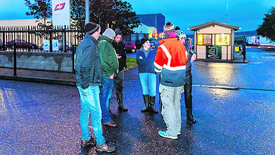 Animal welfare crisis looming if beef row not resolved soon Image