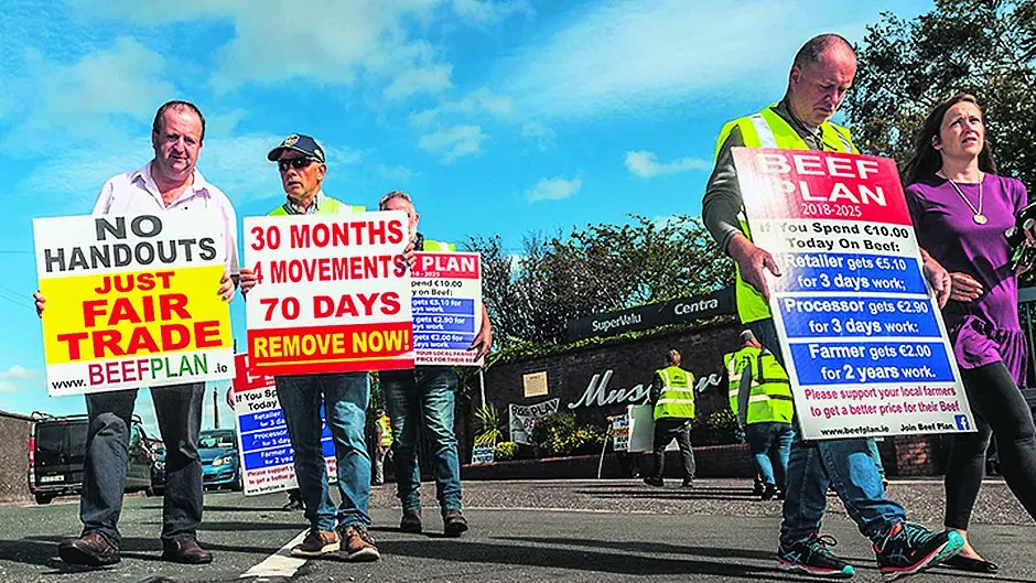 ABP Bandon lays off 255 workers Image