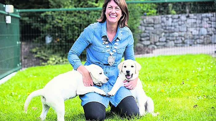 Guide Dogs to benefit from Network event Image