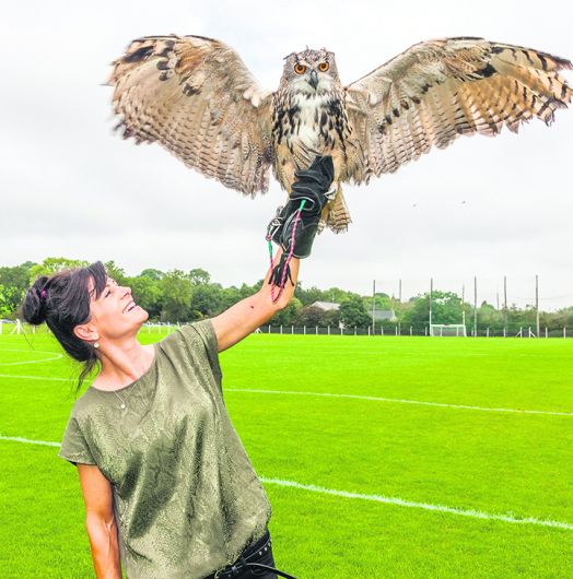 Fifi the friendly owl a real showstopper wherever she spreads her wide wings Image