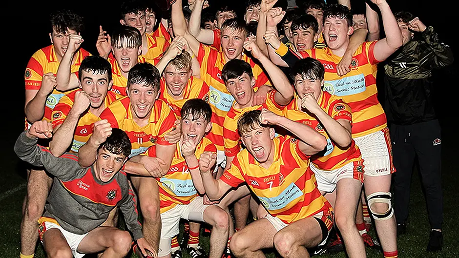 Newcestown minor hurlers rule the west Image