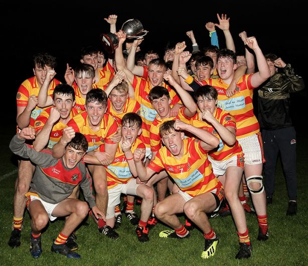 Newcestown minor hurlers rule the west Image