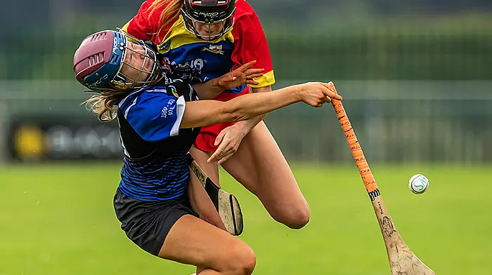 Carbery knocked out of senior camogie championship after extra-time epic Image