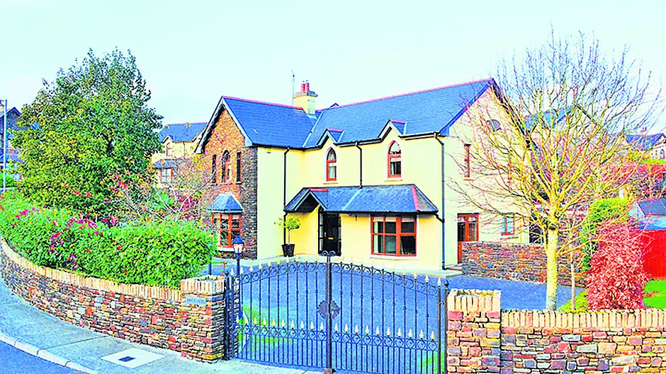 Clonakilty's Roclovin is an attractive addition to market Image