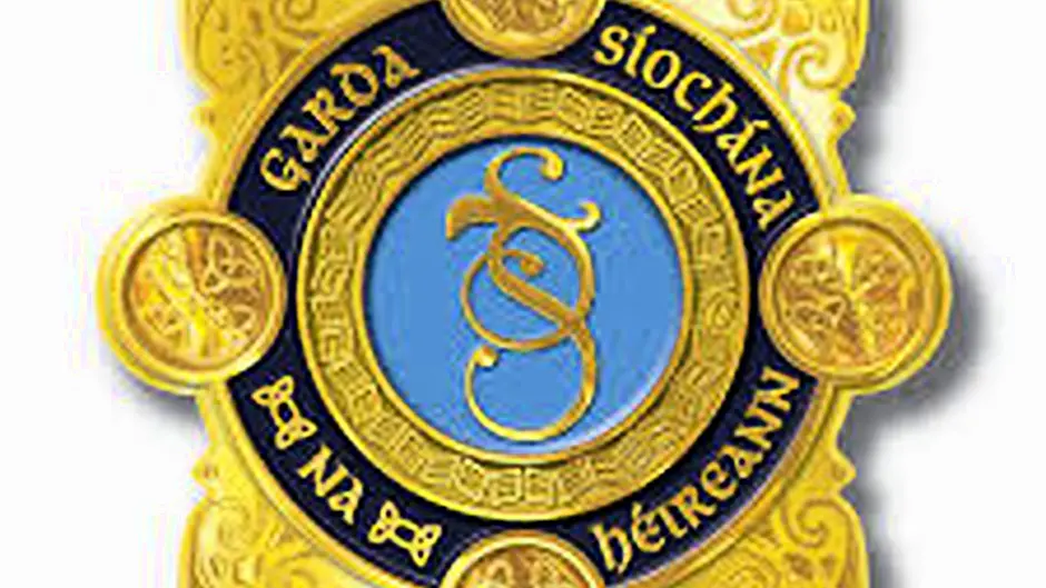 Garda appeal after man attempts to take woman's handbag in Macroom Image