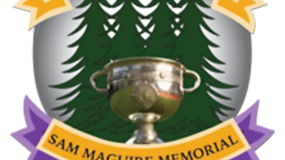 Clubs vote to accept radical changes to Carbery championships Image