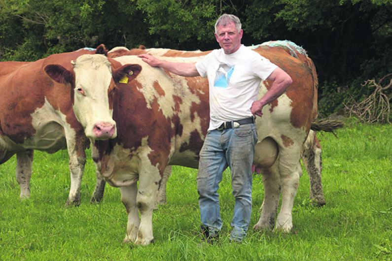 West Cork beef farmers fear uncertain future for sector Image
