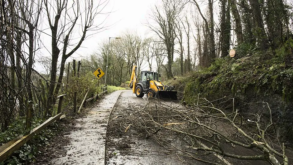 Road reopens in Courtmacsherry as fallen tree is cleared Image