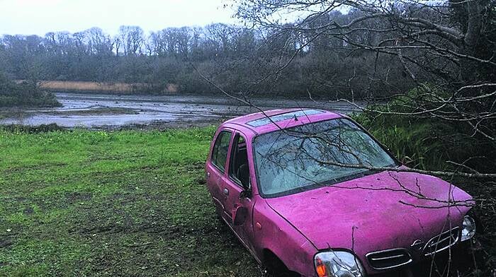 Hunt to find owner of dumped car Image