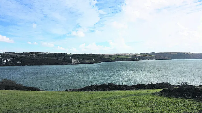 Kinsale Yacht Club objecting to 61-acre mussel farm proposal Image