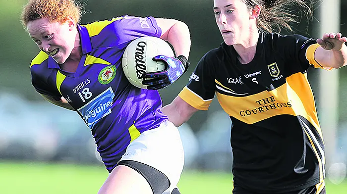 Cotter: We need to put on a show in the Páirc Image