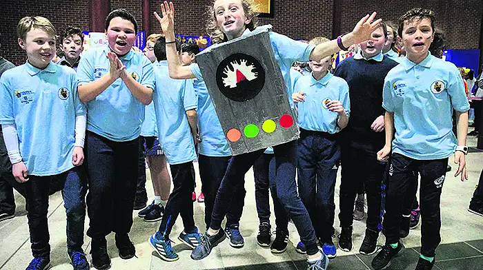 Nothing to ‘vex' 5th class students of Bandonbridge Image