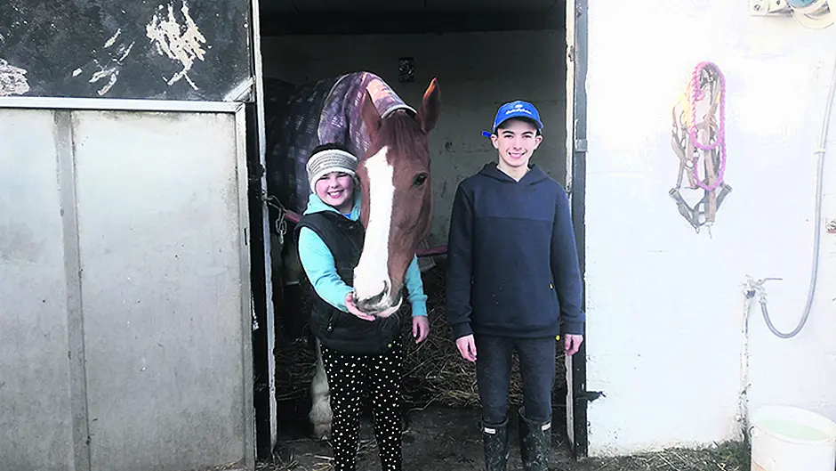 You can lead a horse to water … but you'll have to help him out Image