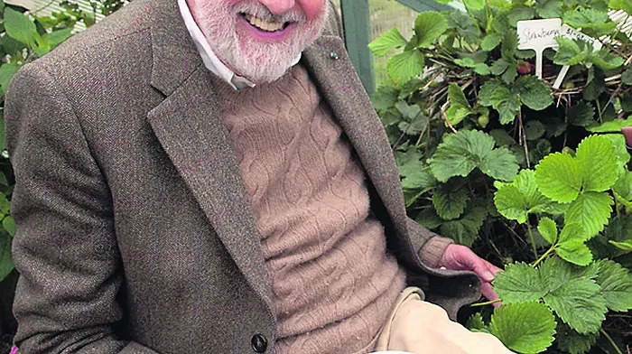 Puttnam warns UK of Brexit threat to Irish relations Image