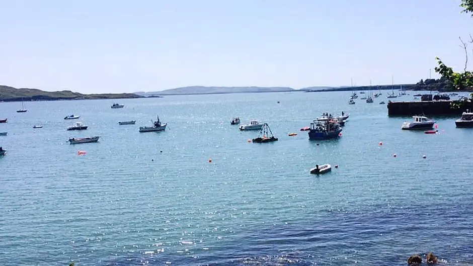 No funds for Schull marina Image
