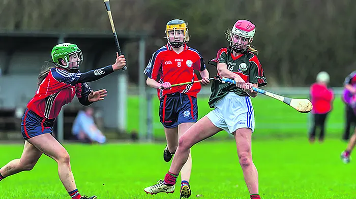 Sacred Heart close in on All-Ireland Image