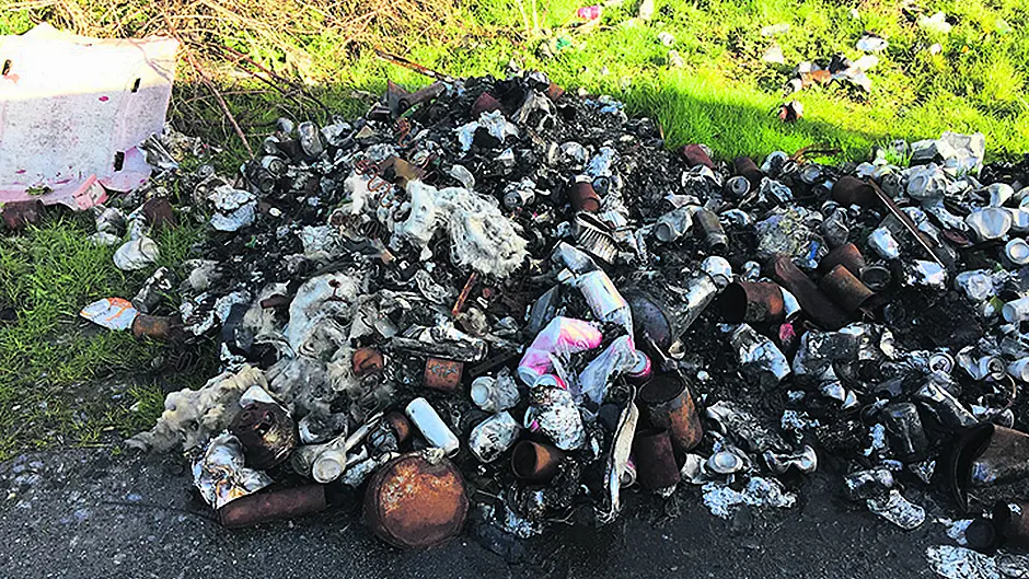 Bags of filthy nappies left to fester in picturesque forest Image