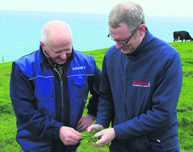 West Cork farmers providing a crucial raw ingredient for cream liqueur Image