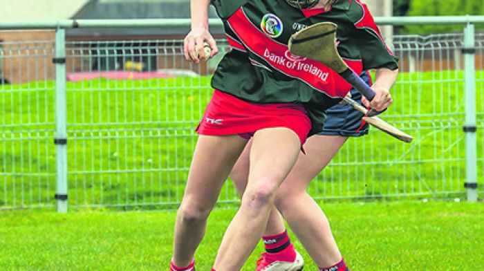 Magic Millie inspires Sacred Heart to All-Ireland glory Image
