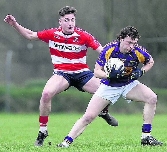 Buckley feels for Carbery players after exit Image