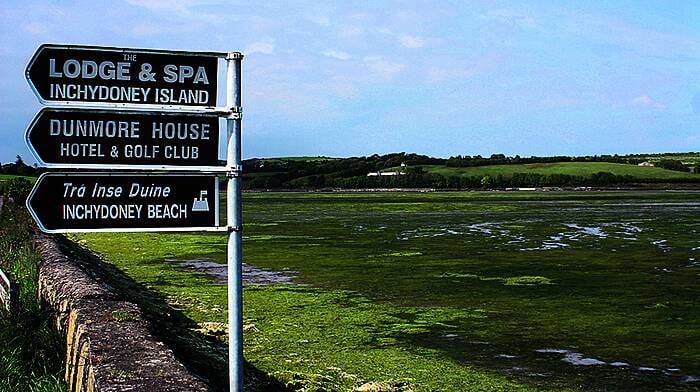 Farmers: ‘We're not to blame for West Cork's green tides' Image