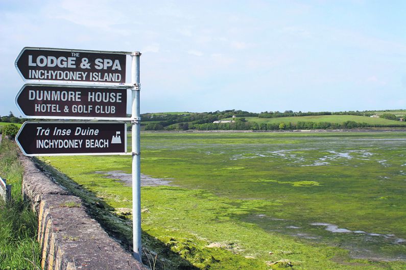 Farmers: ‘We're not to blame for West Cork's green tides' Image