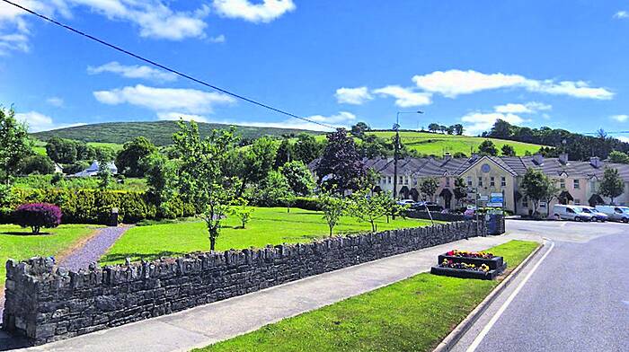 Funds will help develop Bantry's sensory garden Image