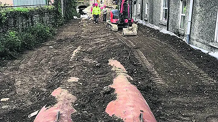 Bird habitat needs to be replaced after flood works Image