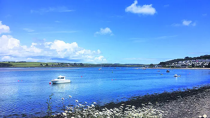 Lack of movement on Ring dredging works Image