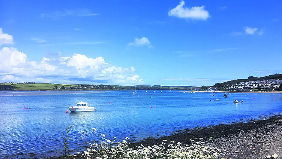 Lack of movement on Ring dredging works Image