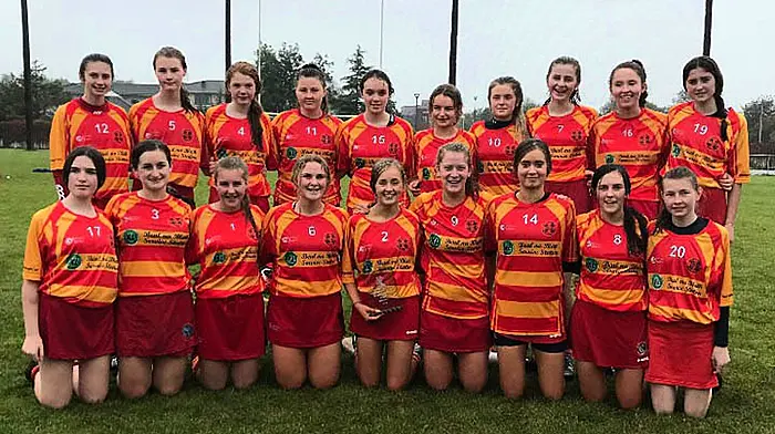 Five-star Newcestown win county camogie U16 title Image