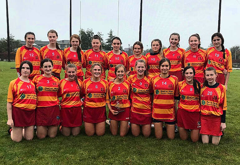 Five-star Newcestown win county camogie U16 title Image