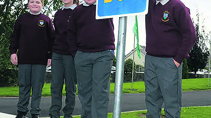 School bus fiasco rages on Image