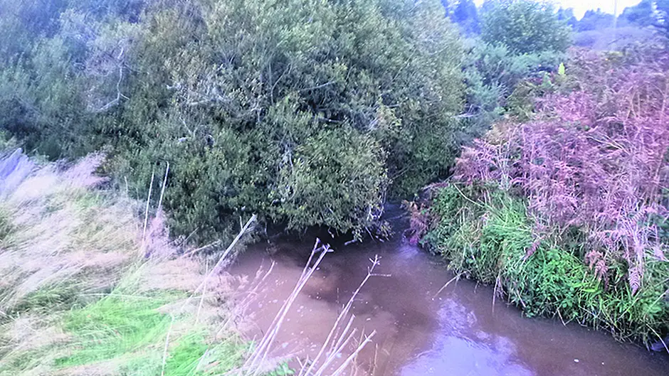 Pearl mussel habitat may be threatened Image
