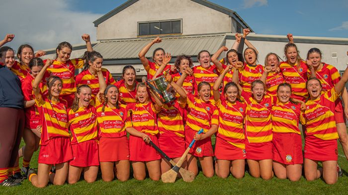 Classy Ciara O'Sullivan fires Newcestown to county camogie glory Image