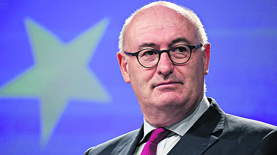 Top Irish firms braced for new US tariffs Image