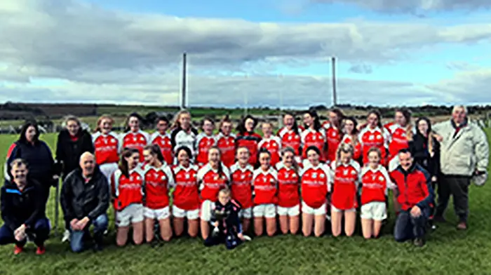 O'Donovan Rossa minor ladies rule West Cork Image