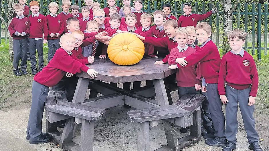 Monster pumpkin grown by Skibbereen boys Image