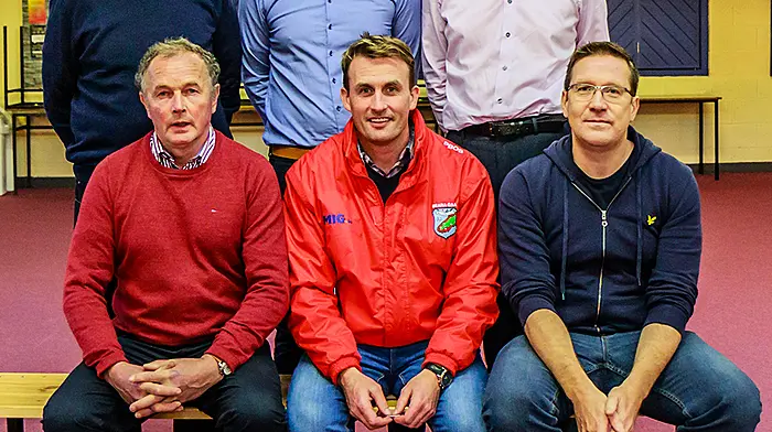 Coaching, refereeing and population drain discussed at Beara GAA review Image