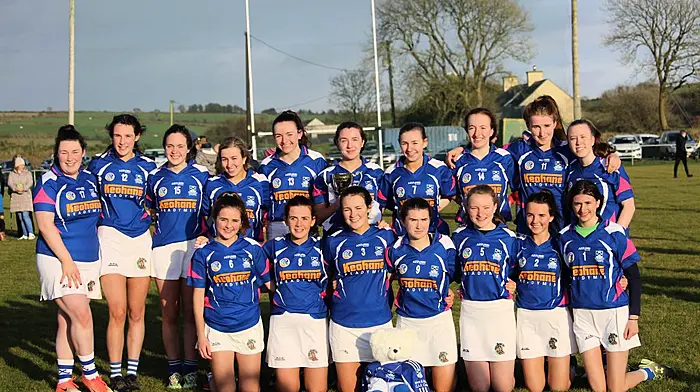 Kilbree minor camogie team completes the championship and league double Image