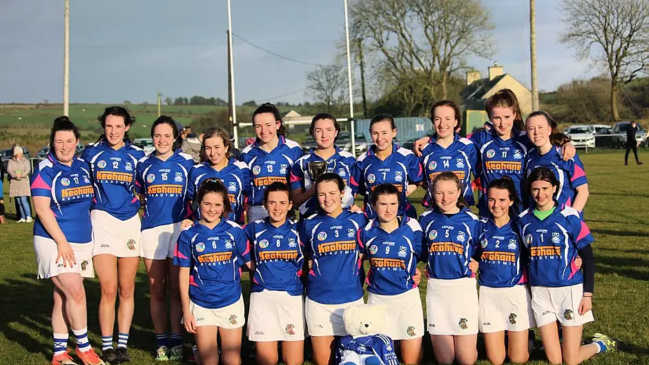 Kilbree minor camogie team completes the championship and league double Image