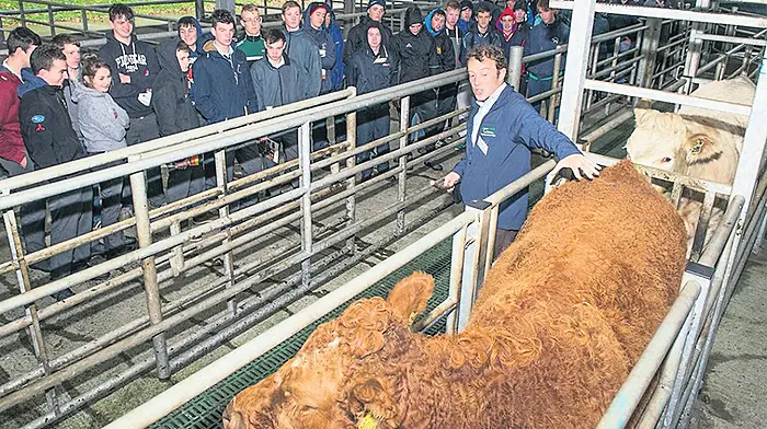 Great choice of agricultural training options locally Image