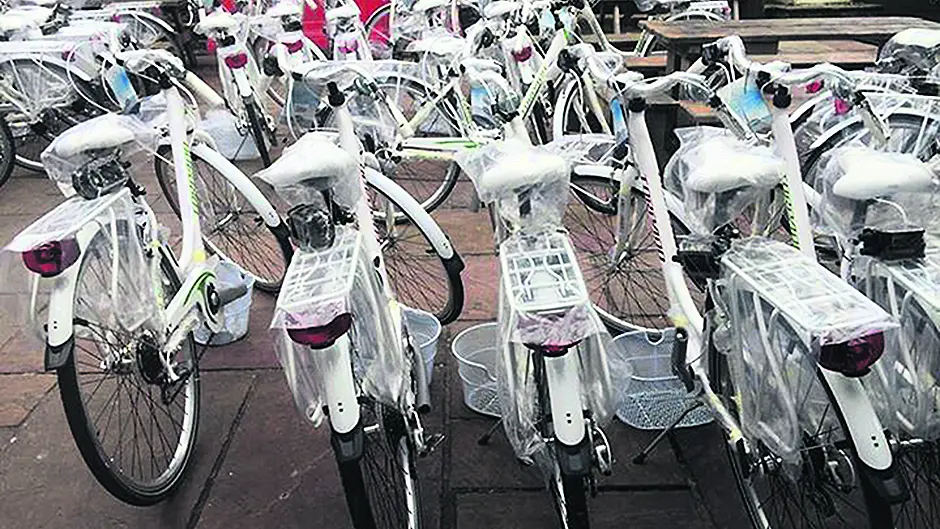 Local firms face insurance crisis Image