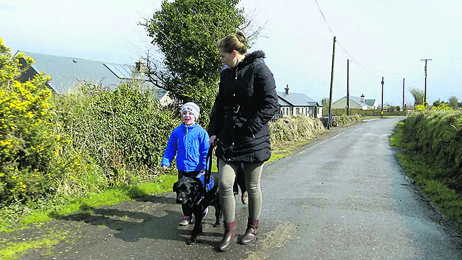 VIDEO: Heart-warming guide dogs show with local links Image