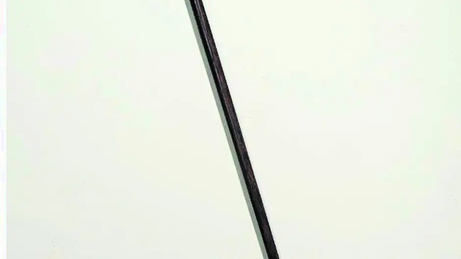 Clonakilty museum may bid for Michael Collins' ‘swagger stick' in auction Image