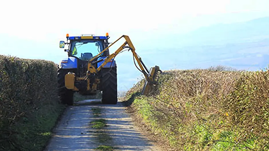 Time to get hedging cut during winter months Image